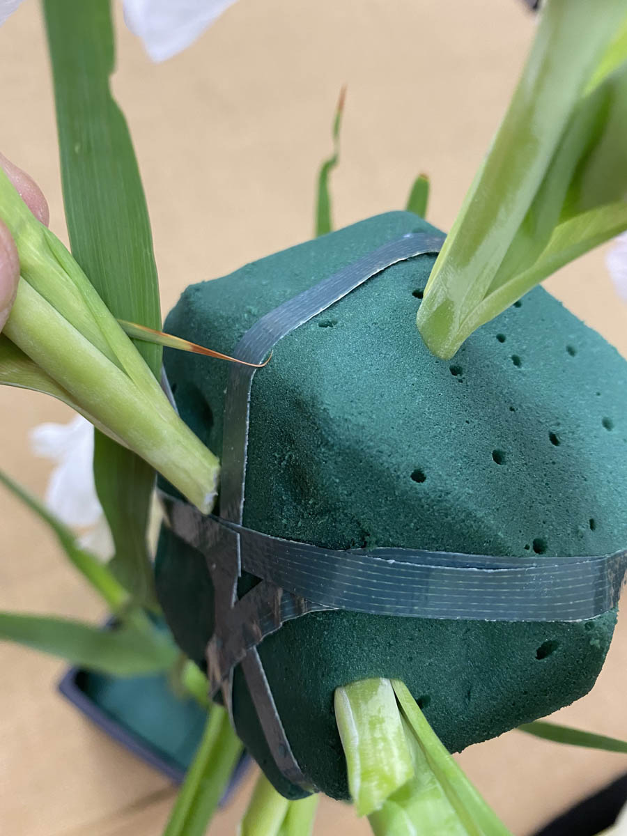 Figure 10 Stem InsertionsRounded floral foam is shown with three gladiolus stems inserted at the top and on both sides of the sphere.